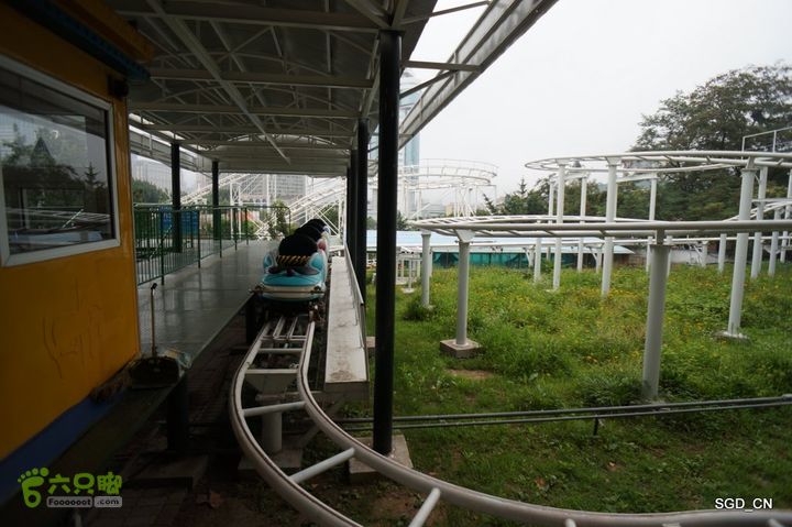 大连劳动公园_电视塔DSC00934