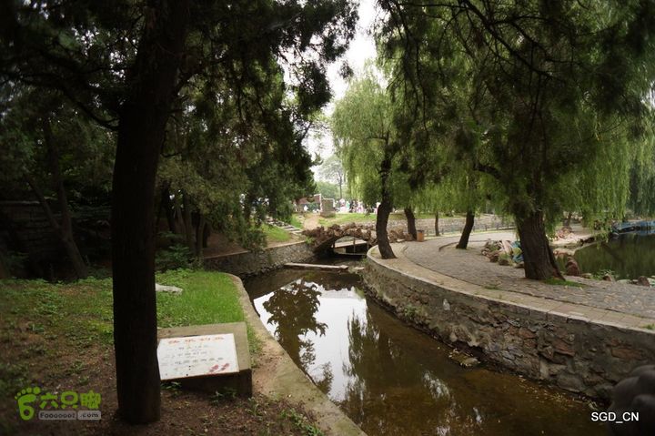 大连劳动公园_电视塔DSC00939