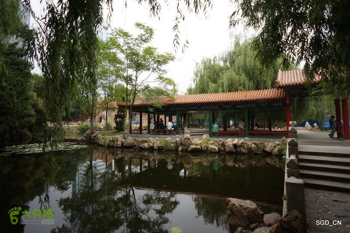 大连劳动公园_电视塔DSC00945