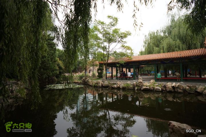 大连劳动公园_电视塔DSC00946