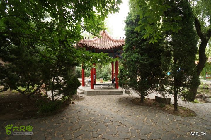 大连劳动公园_电视塔DSC00947