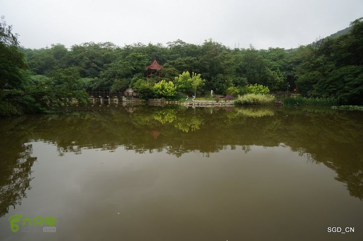 大连植物园DSC01074