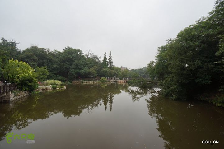 大连植物园DSC01084