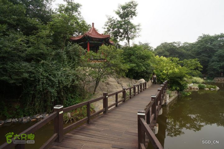 大连植物园DSC01085