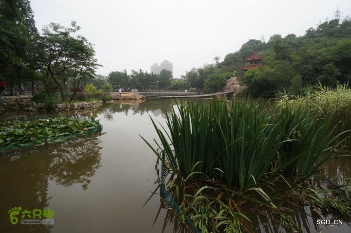 大连植物园DSC01087