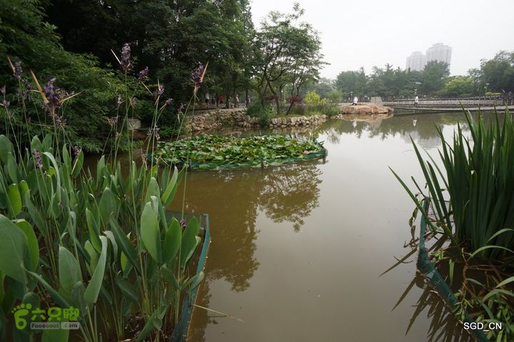 大连植物园DSC01088