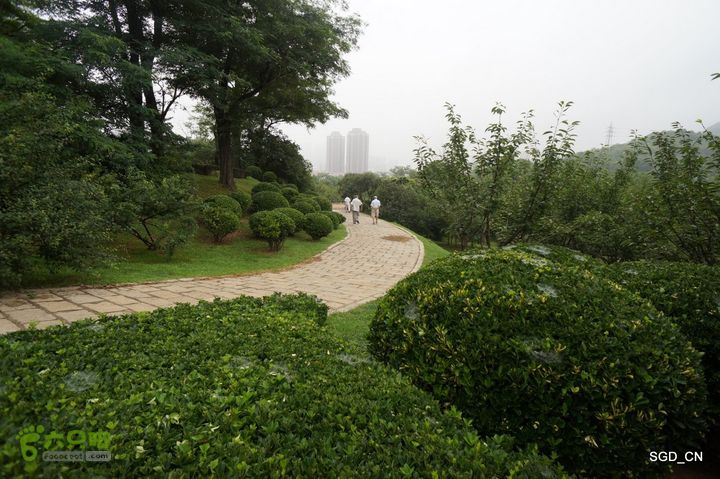 大连植物园DSC01093