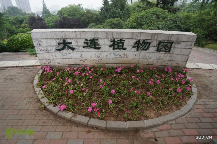 大连植物园DSC01099
