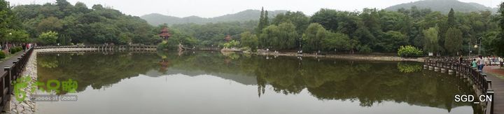 大连植物园DSC01106