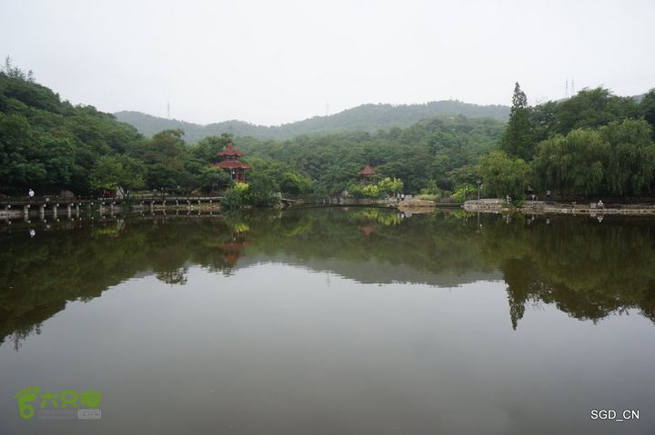 大连植物园DSC01108