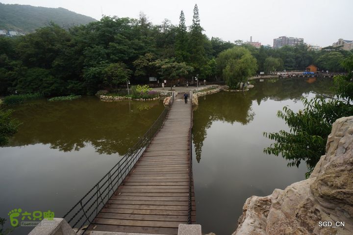 大连植物园DSC01118
