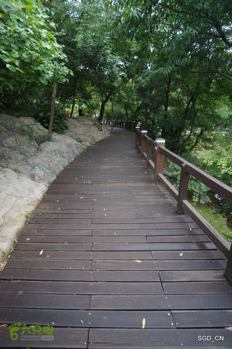 大连植物园DSC01119