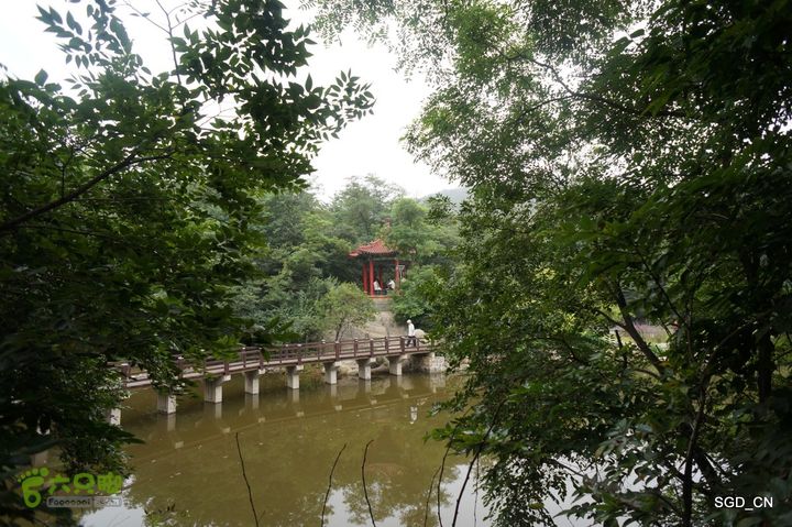 大连植物园DSC01121