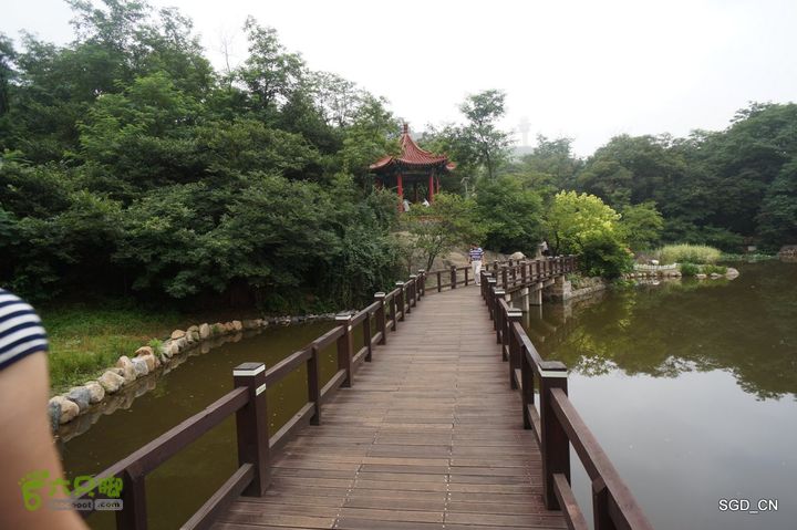 大连植物园DSC01122