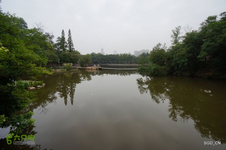 大连植物园DSC01125