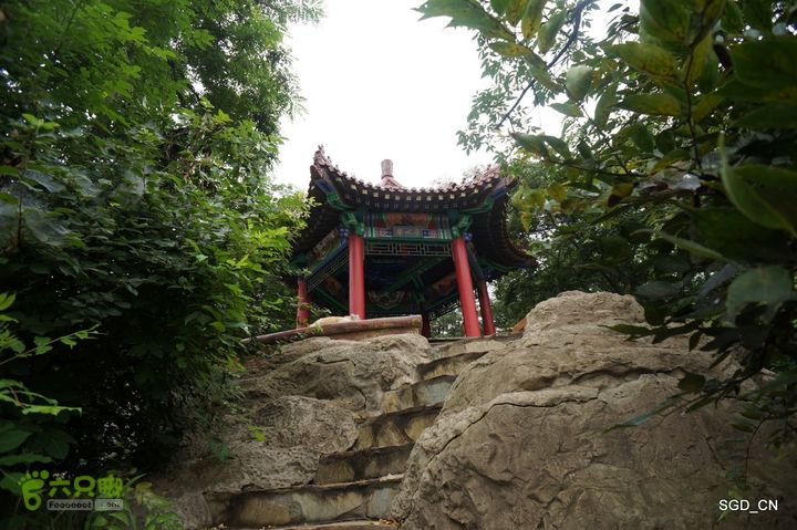 大连植物园DSC01126
