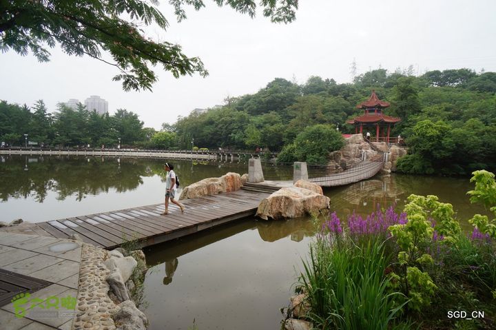 大连植物园DSC01129