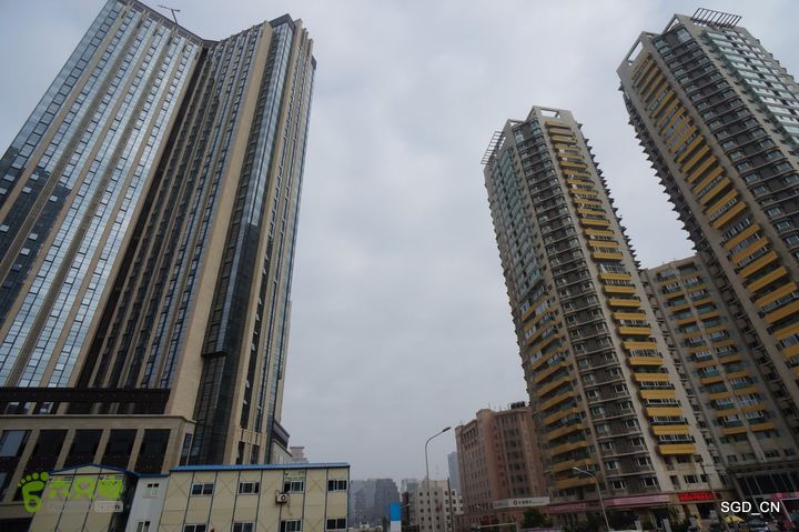 大连植物园DSC01137