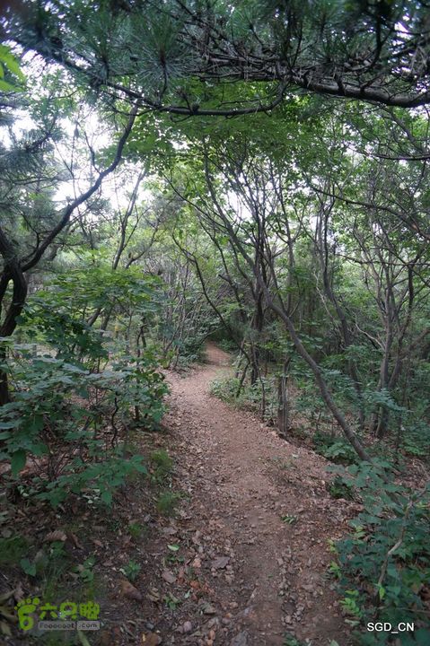 大连气象塔DSC01256-001