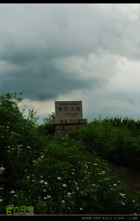 20120806东北镜泊湖、长白山、鸭绿江自驾叶赫古城遗址只剩下了大夯土堆，周围是一望无际的玉米地