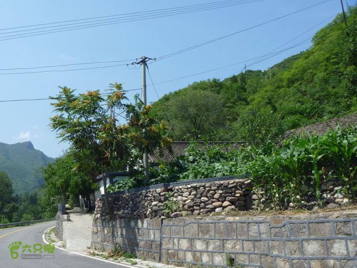 【宝山寺-滴水壶-千家店】寻向日葵花海P1100041