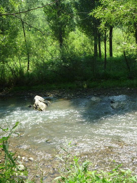 【宝山寺-滴水壶-千家店】寻向日葵花海P1100043