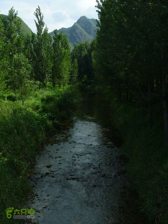 【宝山寺-滴水壶-千家店】寻向日葵花海P1100060