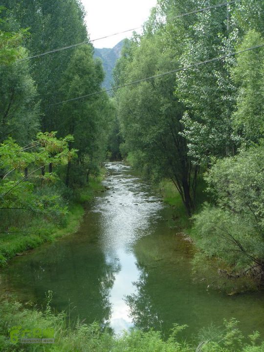 【宝山寺-滴水壶-千家店】寻向日葵花海P1100066