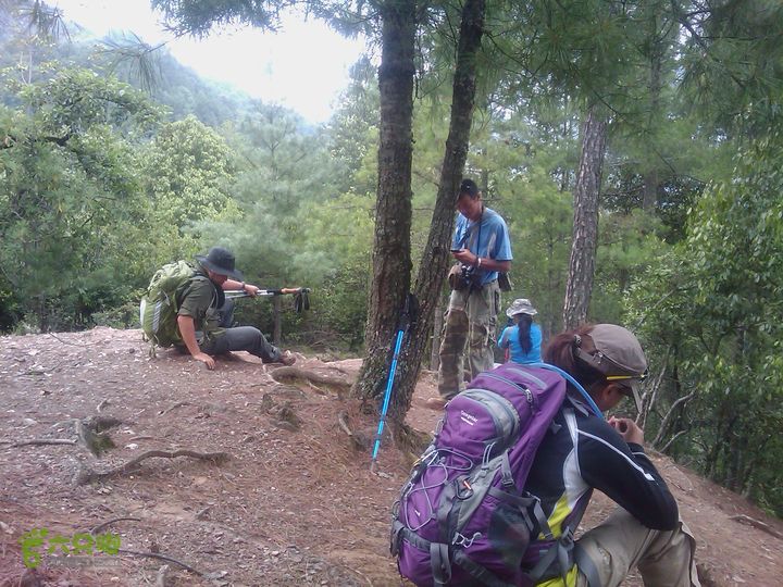 则黑毡帽山IMAG0037