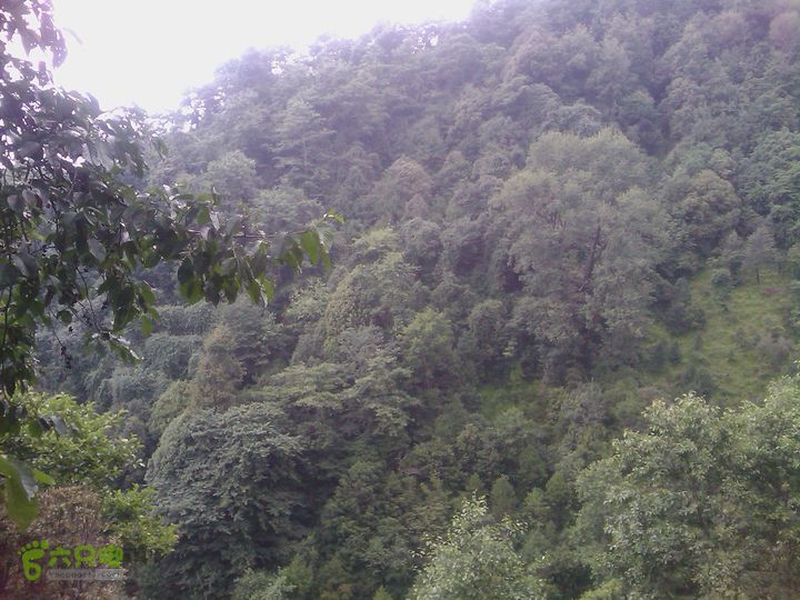 则黑毡帽山IMAG0040