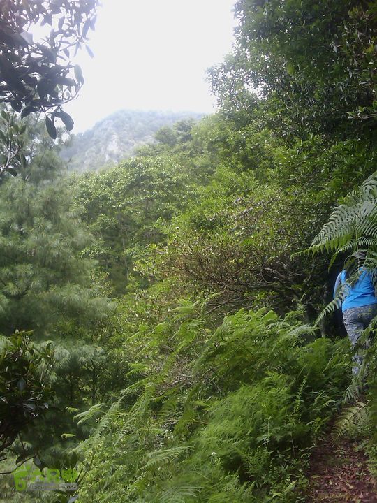 则黑毡帽山IMAG0045