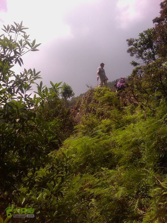 则黑毡帽山IMAG0046