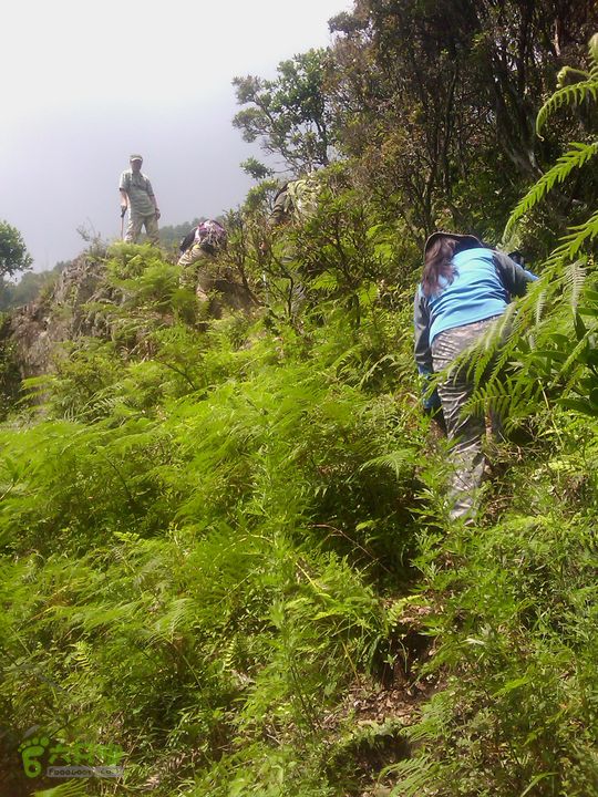 则黑毡帽山IMAG0047