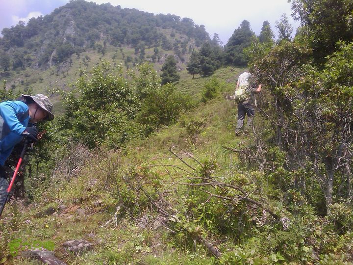 则黑毡帽山IMAG0049