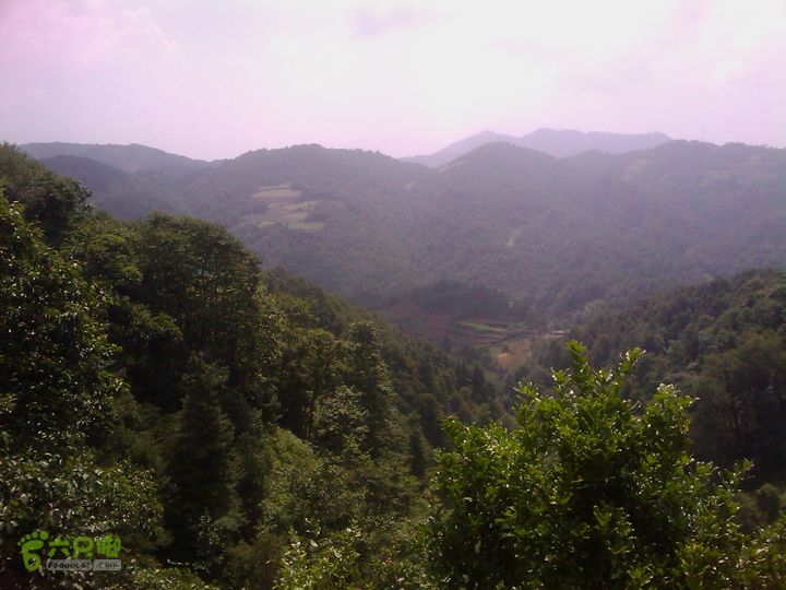 则黑毡帽山IMAG0050