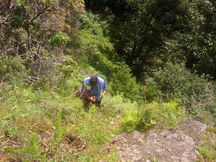 则黑毡帽山IMAG0051