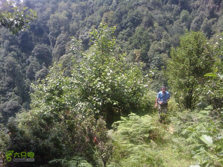 则黑毡帽山IMAG0052