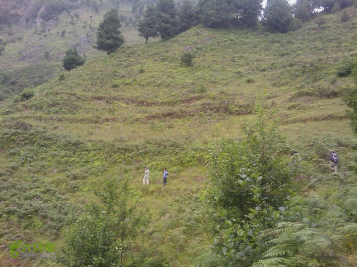 则黑毡帽山IMAG0055