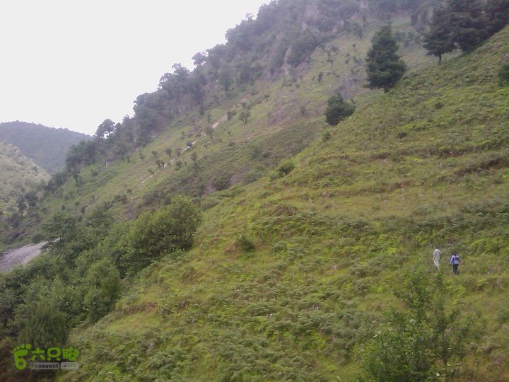 则黑毡帽山IMAG0056