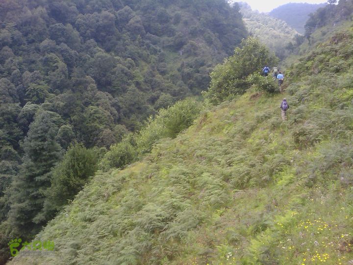 则黑毡帽山IMAG0057