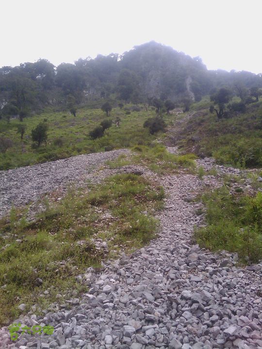 则黑毡帽山IMAG0063