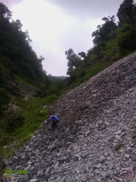 则黑毡帽山IMAG0064