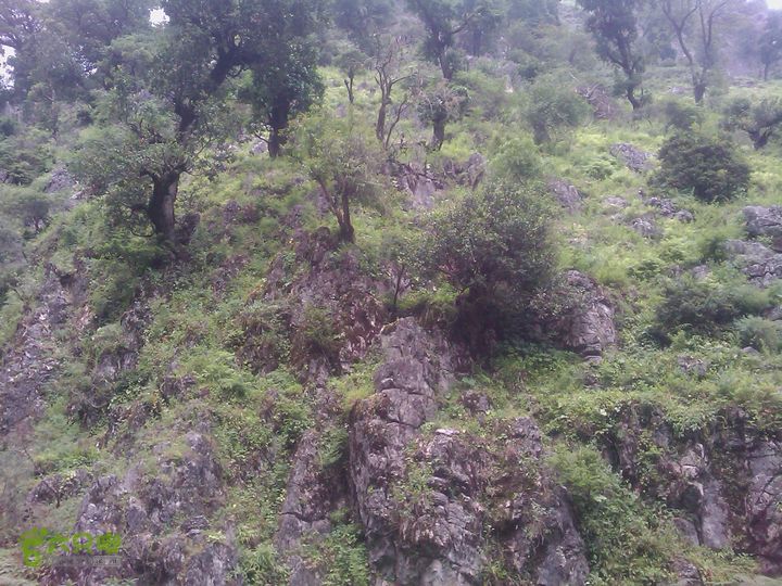 则黑毡帽山IMAG0069