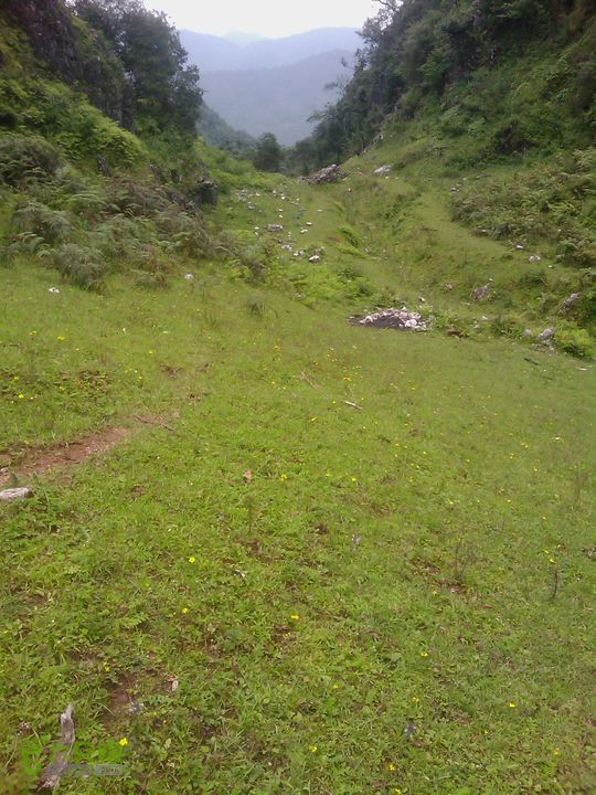 则黑毡帽山IMAG0070