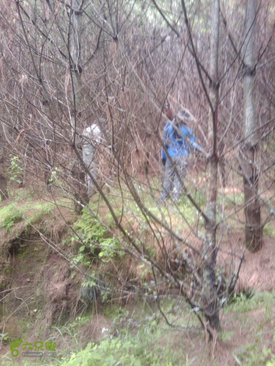 则黑毡帽山IMAG0071