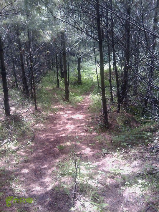 则黑毡帽山IMAG0073