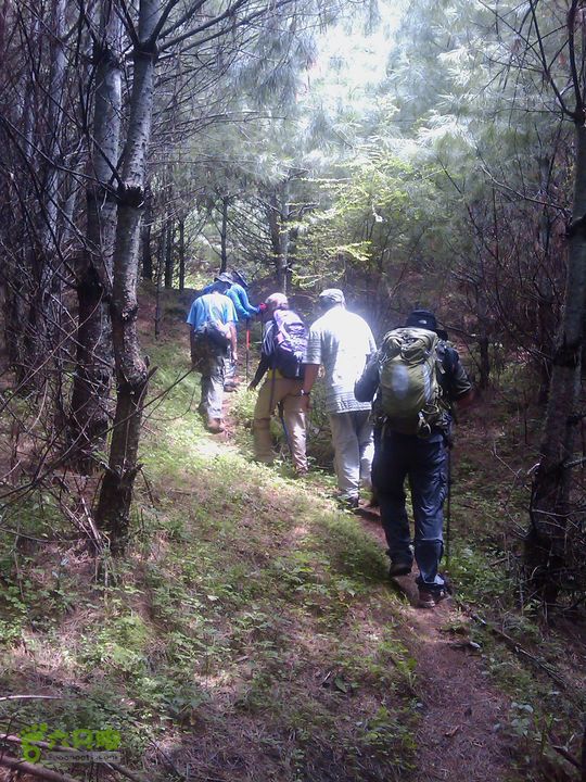 则黑毡帽山IMAG0074