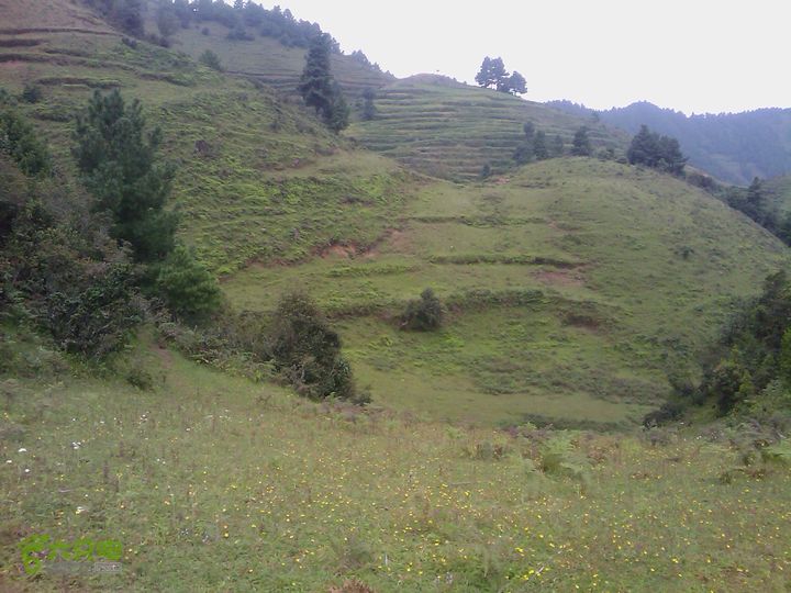 则黑毡帽山IMAG0086