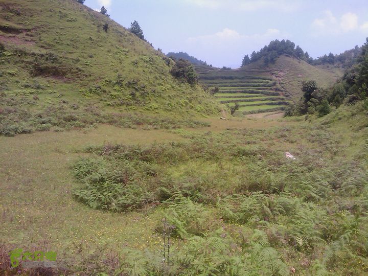 则黑毡帽山IMAG0092