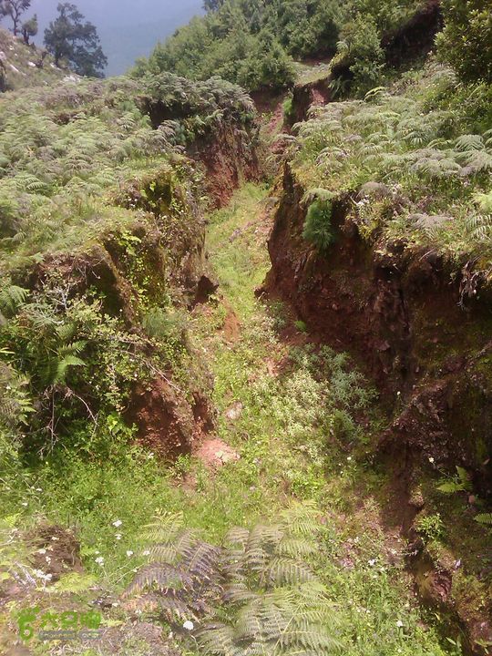 则黑毡帽山IMAG0095